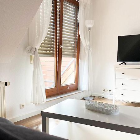 Schönes 1 Zimmer Apartment mit Dachterrasse Glauchau Exterior foto